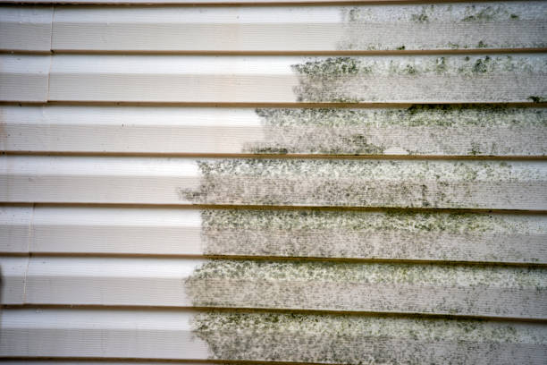 Best Carpet Removal and Disposal  in Chrisman, IL