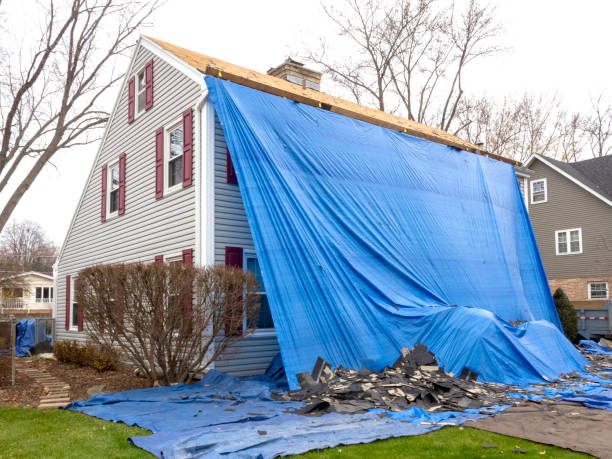  Chrisman, IL Junk Removal Pros